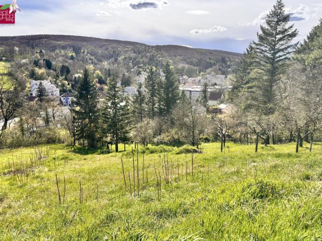 Traumhaftes Hanggrundstück in Kierling, Klosterneuburg Sonnig & Ruhig Gelegen ihr Traum vom Eigenheim Beginnt Hier!
