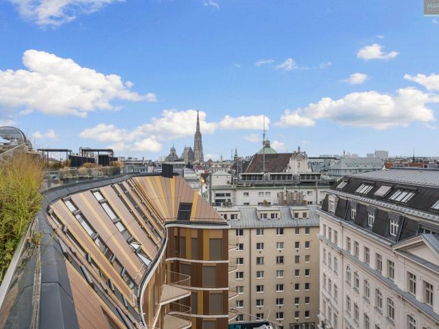 Traumhaftes Penthouse im Zentrum Wiens: Einzigartiger Rundumblick inklusive