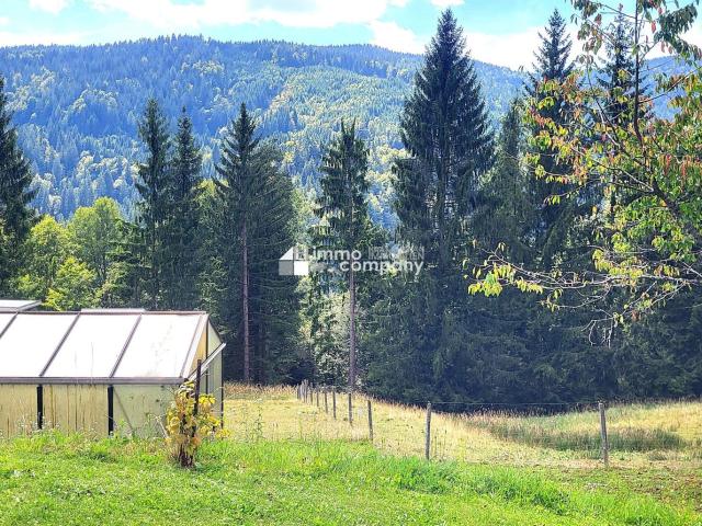 Preisreduktion! Ca. 11.000 m² Großes Anwesen Direkt am Waldrand mit Panoramablick Fast wie Alleinlage!