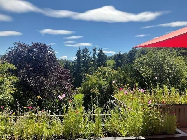 Traumhaus in Traumlage Citynähe trifft Naturidylle