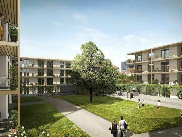 Traumwohnung im Neubau mit grosser Loggia