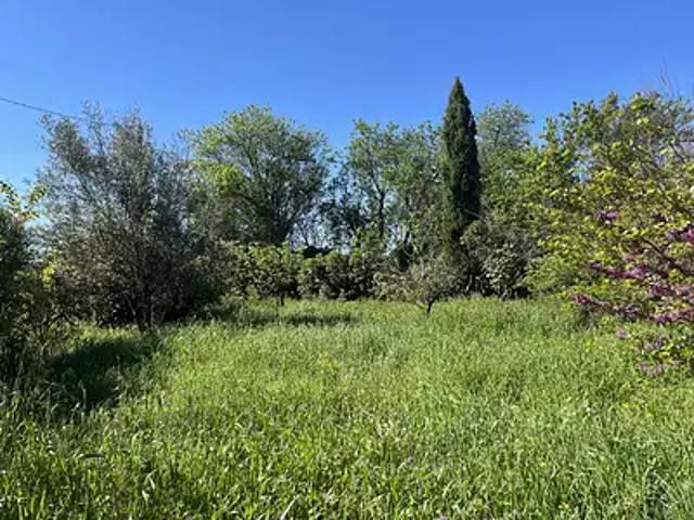 Trausse 11160 Achat / Vente terrain