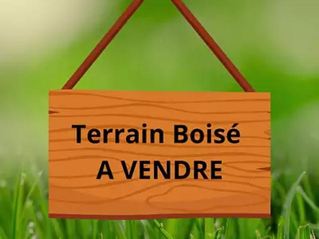 Travecy 02800 Achat / Vente divers