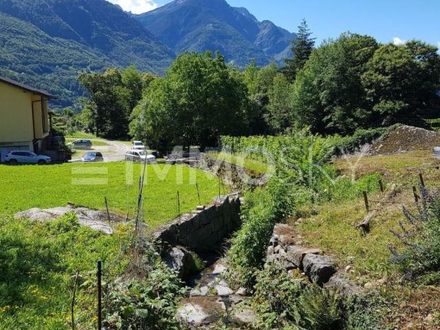 Tra sole e natura