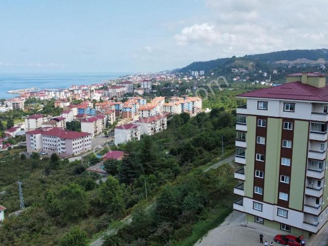 Trabzon Arsin'de Satılık Giriş Katı Daire
