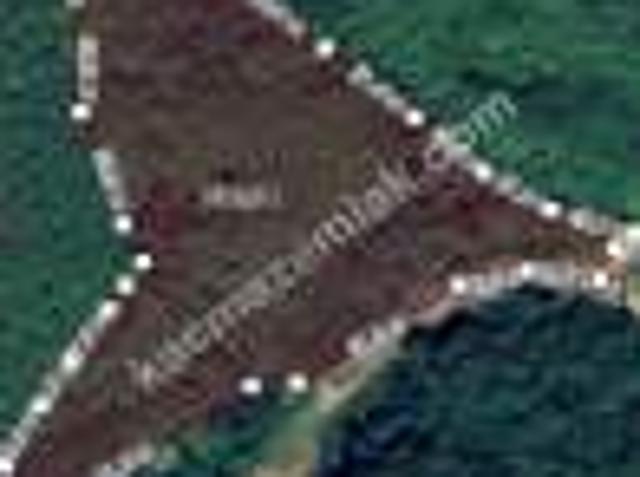 Trabzon Yomra Gülyurdun Da Satılık 12.478 M2 Arazi