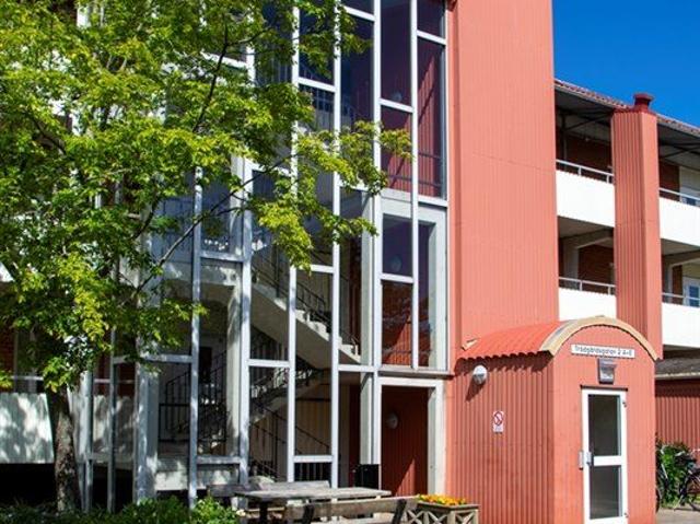Trädgårdsgatan 2E