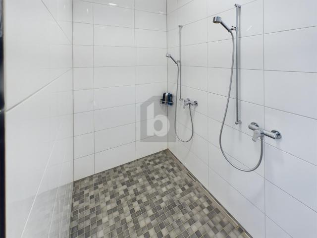 Trade with 2 rooms for rent in Oberriet SG 170 m² | dreamo. Ch