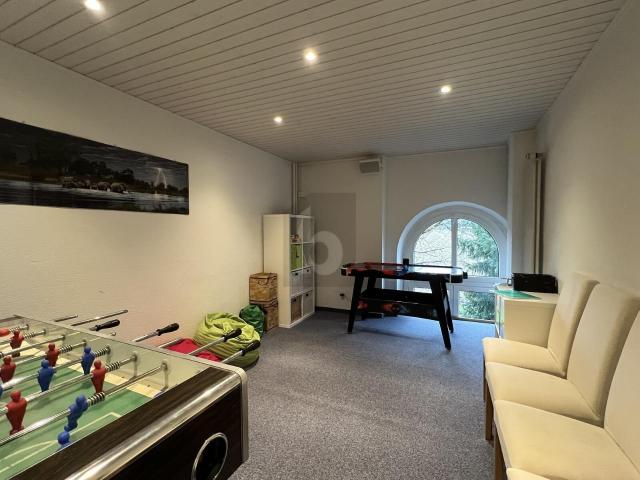 Trade with 5.5 rooms for rent in Wetzikon ZH 200 m² | dreamo. Ch