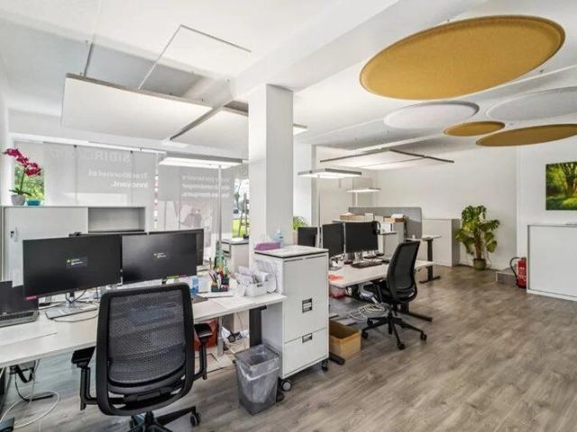 Trade for rent in Pully 249 m² | dreamo. Ch
