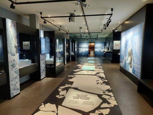 Trade on sale in Crans Montana 190 m² | dreamo. Ch