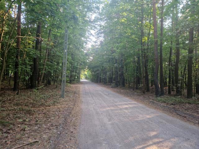 Tramwajowa 1 800 m², Zagościniec