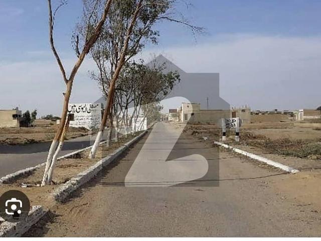 Transfer Plot For Sale