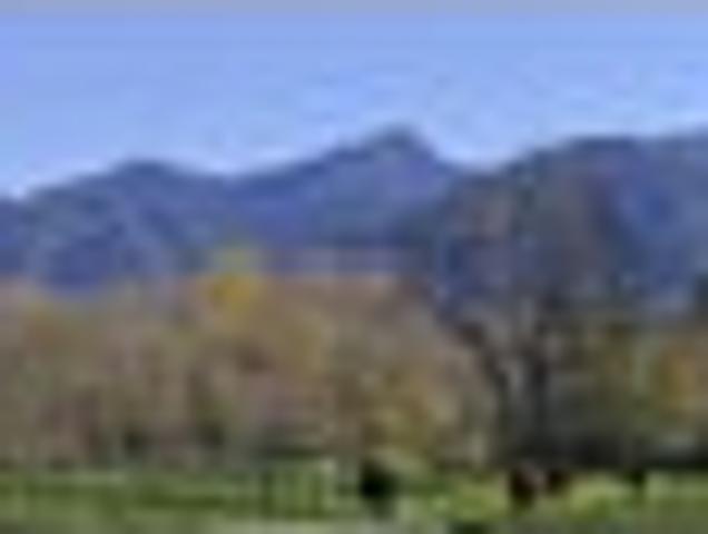 Tranquil Country Heaven with income