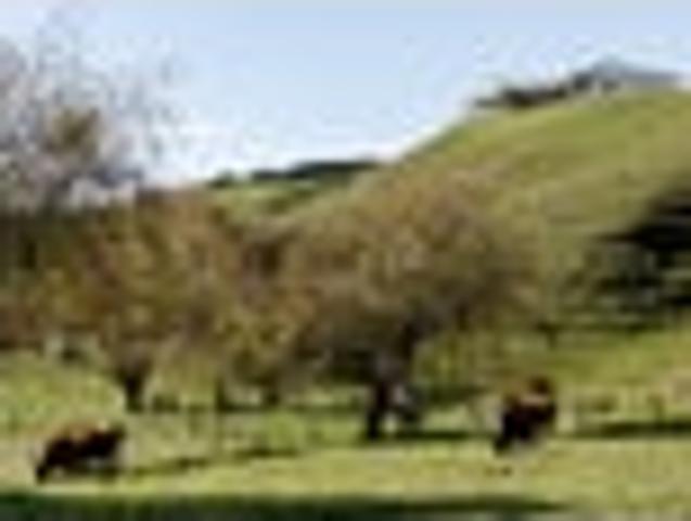 Tranquil country living with modern comfort awaits