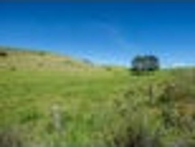 Tranquil Lifestyle. Bare Block Awaits You
