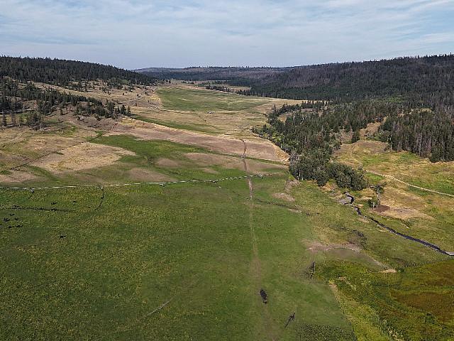 Tranquil Oasis: Premier Agricultural Estate In Loon Lake Region