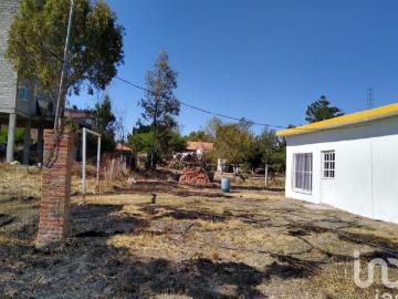¡Tranquilidad campestre y comodidad: hermosa casa con amplio terreno y servicios en Presa de Bravo!