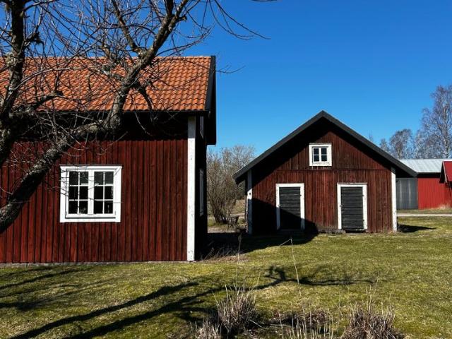 Tranvik 1