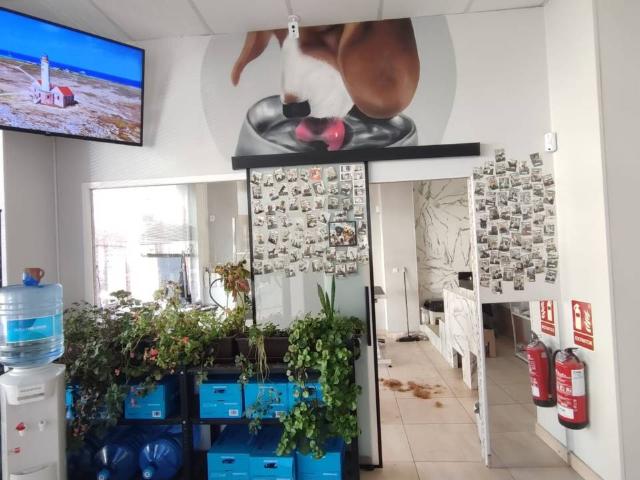 Traspaso Clínica Veterinaria y Peluquería Canina en Coslada