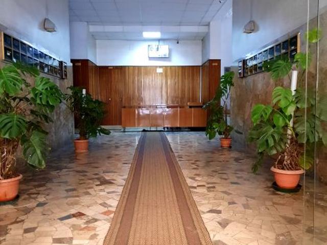 TRE Stanze zona Policlinico a studentesse/lavoratrici