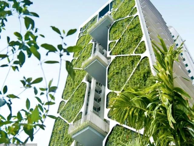 Tree House D23, Condominium