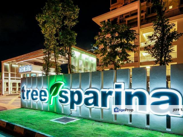 Tree Sparina @ Ideal Vision Park