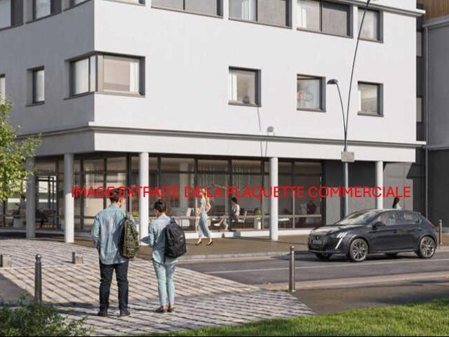 Trélazé Vente Appartement 49