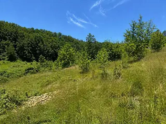 Trélissac 24750 Programme neuf terrain neuf à vendre