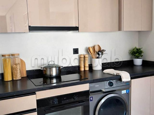 Tres beau studio palmier