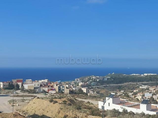 Très beau Terrain 300 m2 titre à Malabata