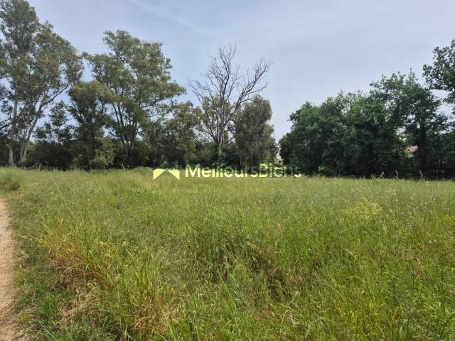 Très beau terrain constructible d'une superficie d'environ 3000m2 sur Prunelli di Fiurmorbu en plaine