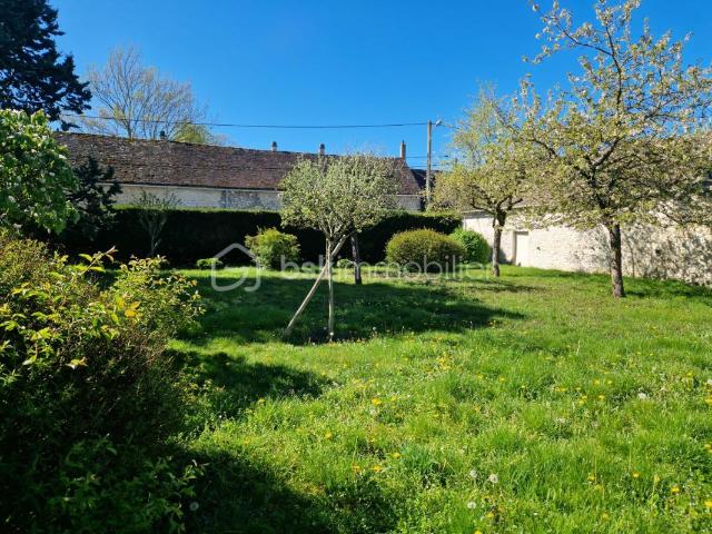 Très beau terrain constructible, joliment arboré !