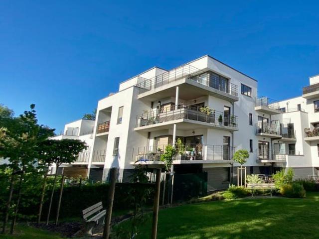 Très bel appartement 1 chambre avec terrasse