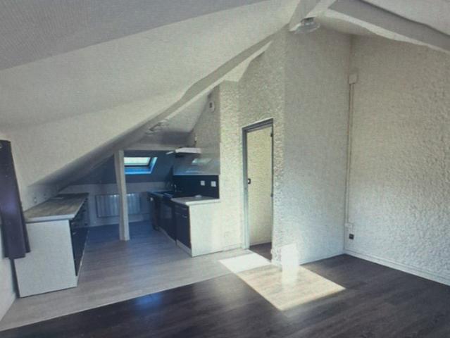 très bel appartement totalement rénové