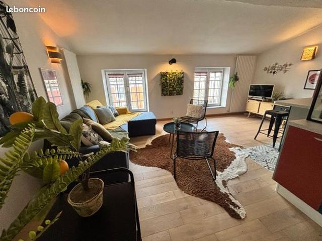 Tres bel appartement coup de cœur avec espace nuit en mezzanine