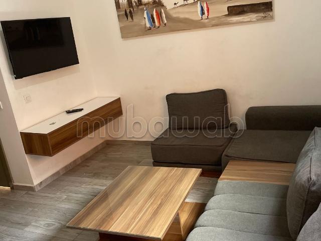 Très bel appartement en location 2 chambres agréables. Sécurisé 24/