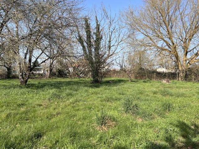 A VENDRE TRES BELLE PARCELLE DE 1112m² A SAINT MEDARD DE GUIZIERES