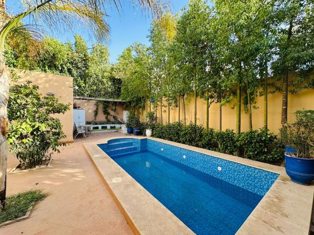 Très bon affaire à nous pas rater sur Marrakech