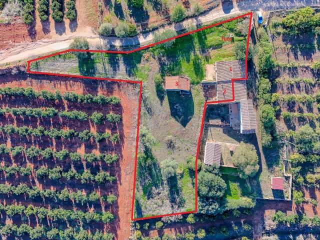 Três casas rurais para recuperar perto de Silves