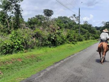 Tres grandes lotes en el lindo pueblo de Las Lajas, Chiriquí