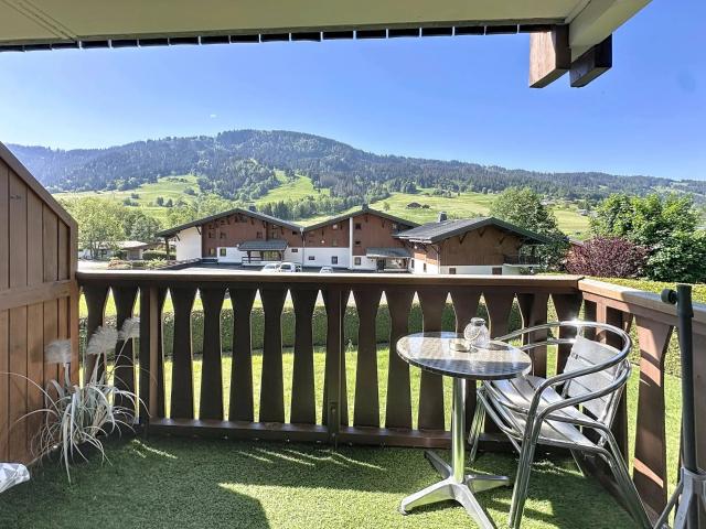 Tres Joli Studio Cabine Renove Plein Sud Dans Le Centre De P. 20m² Praz sur Arly
