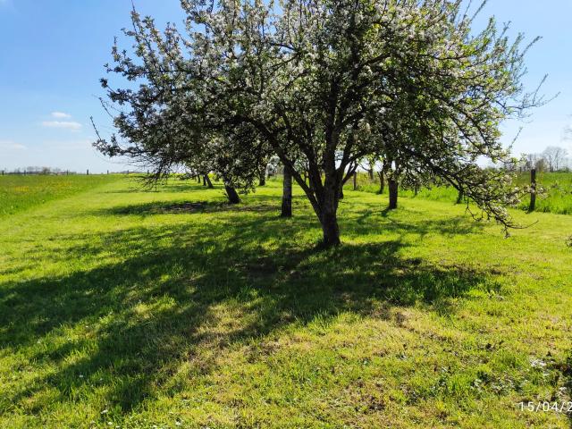 Très joli terrain plat constructible