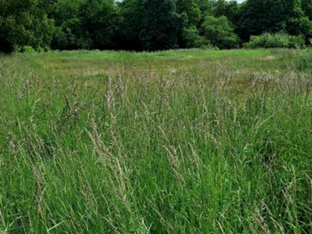 Très jolie terrain à construire avec vue dégagée