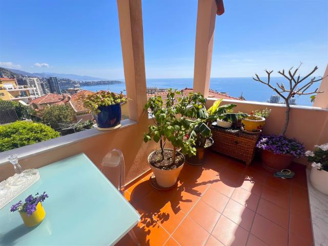 Tres proche de Monaco, vue mer, terrasse 100m² Beausoleil