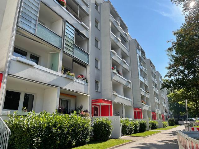 Tresenliebe 3 Zimmer Wohnung mit offener Wohnküche, Tresen und Balkon in Kappel