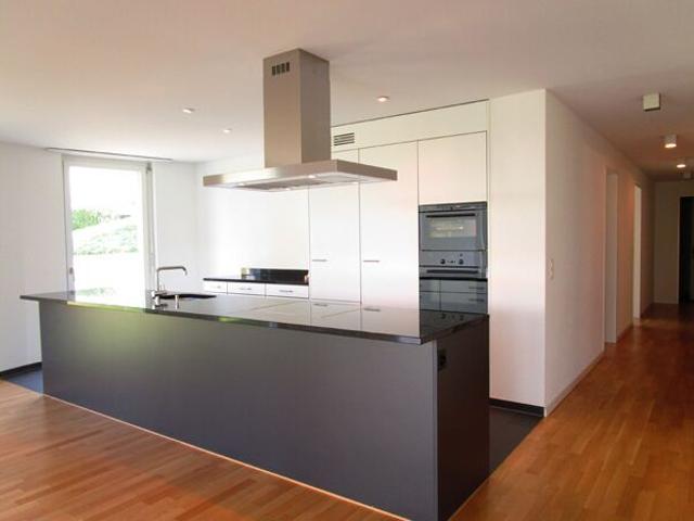 Trivista ökologisch modern mit Ambiente am Zürichsee | dreamo. Ch