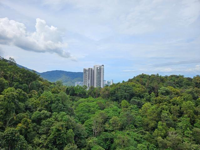 Tri Pinnacle Condominium 3cp Tanjung Tokong