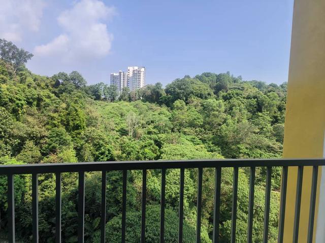 Tri Pinnacle Tanjung Tokong For Sale