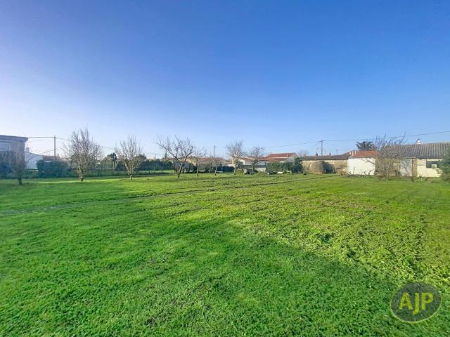 Triaize Vente Terrain 85